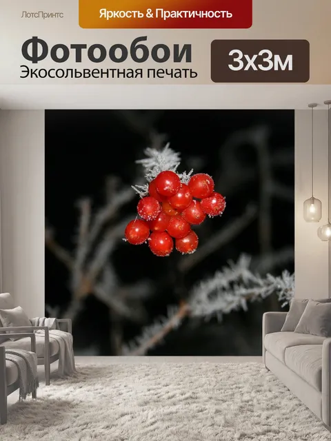 Фотообои Зима