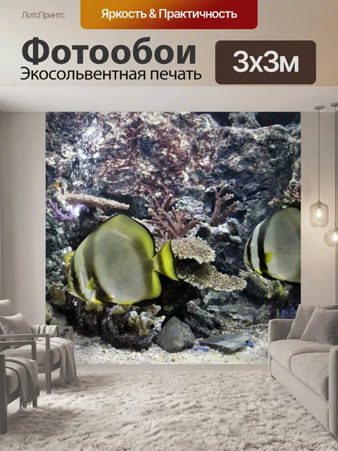 Фотообои Летучая мышь в аквариуме