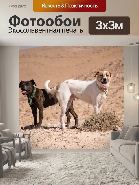 Фотообои Собаки