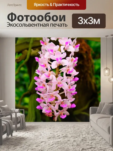 Фотообои Орхидея