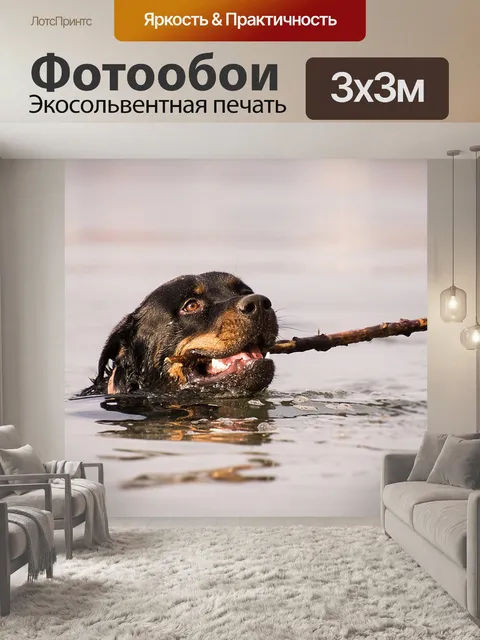 Фотообои Воды