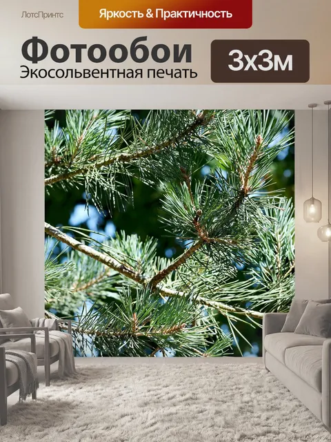 Фотообои Деревья