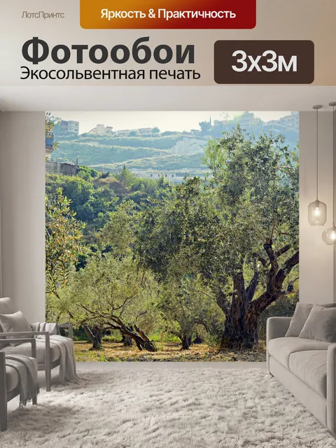 Фотообои Оливковые деревья