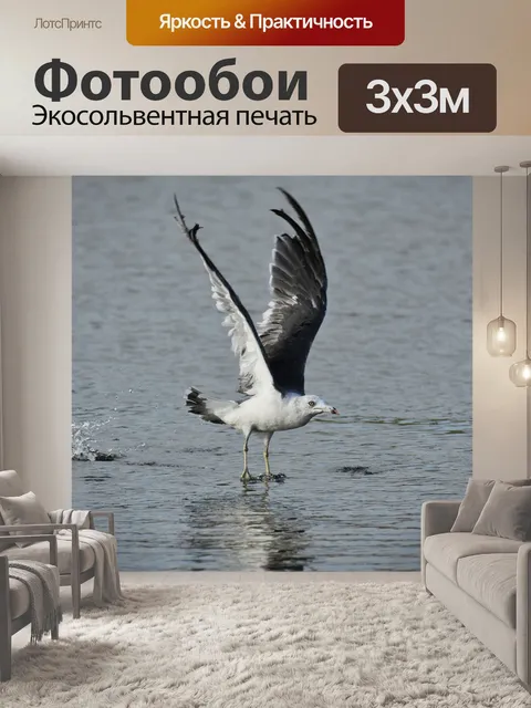 Фотообои Животное