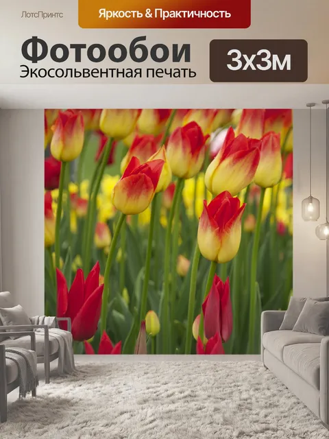Фотообои Цветы