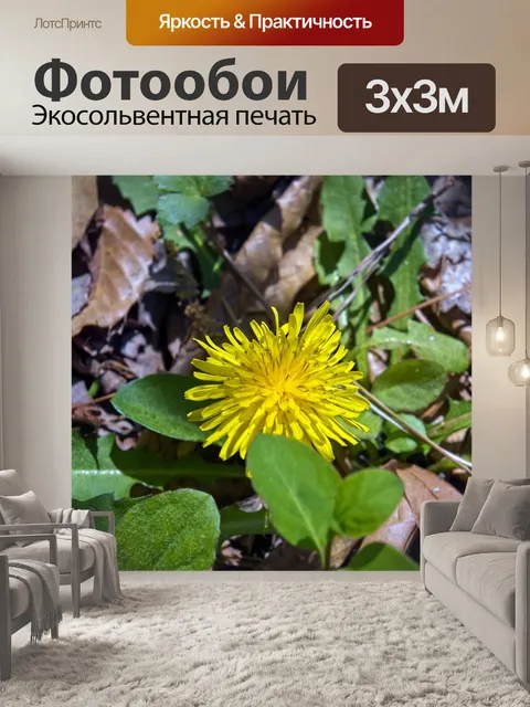 Фотообои Одуванчик