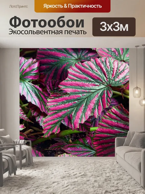 Фотообои Тропическое растение