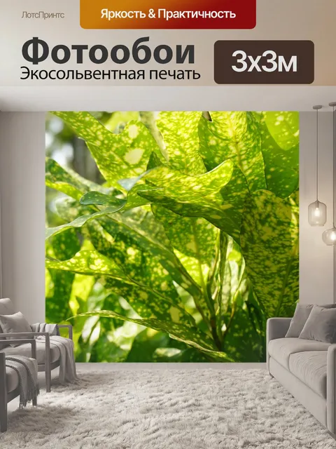 Фотообои Растения
