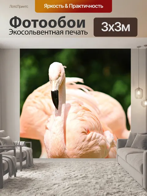 Фотообои Фламинго