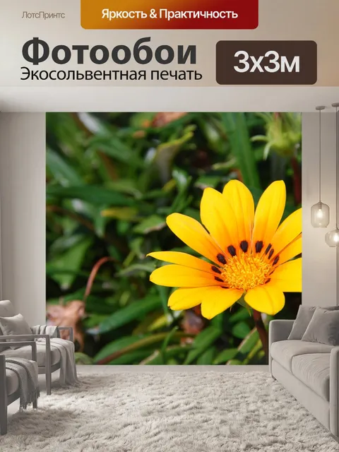 Фотообои Цветы