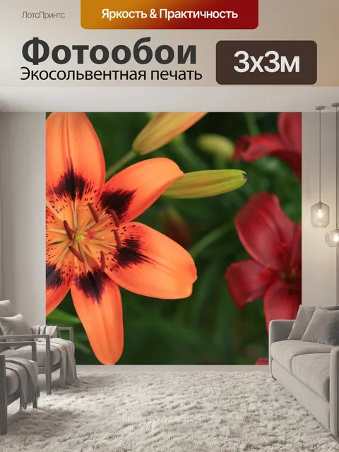 Фотообои Два цветы лилии