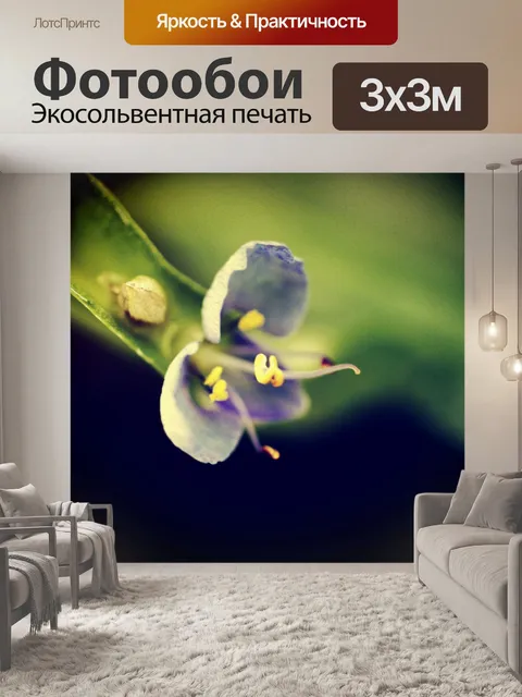 Фотообои Красивый цветок