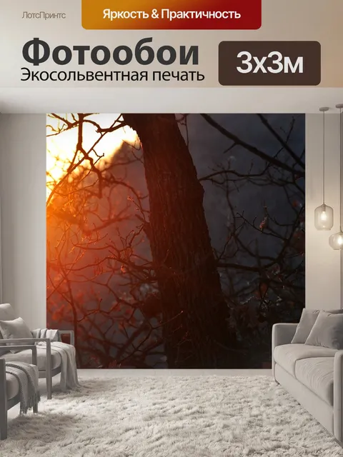 Фотообои Закат