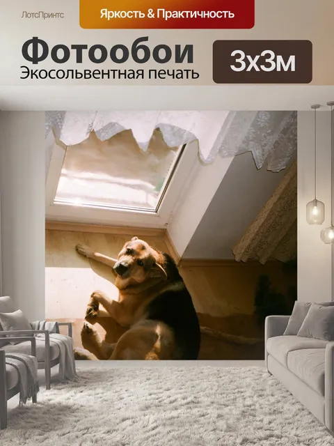 Фотообои Старый пес