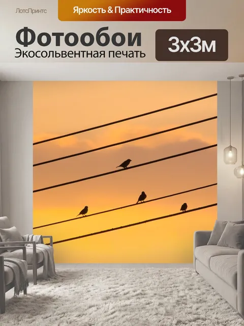 Фотообои Птицы
