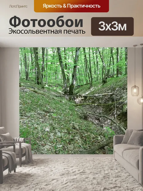 Фотообои Лес