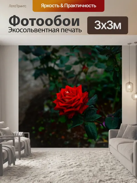 Фотообои Геометрия