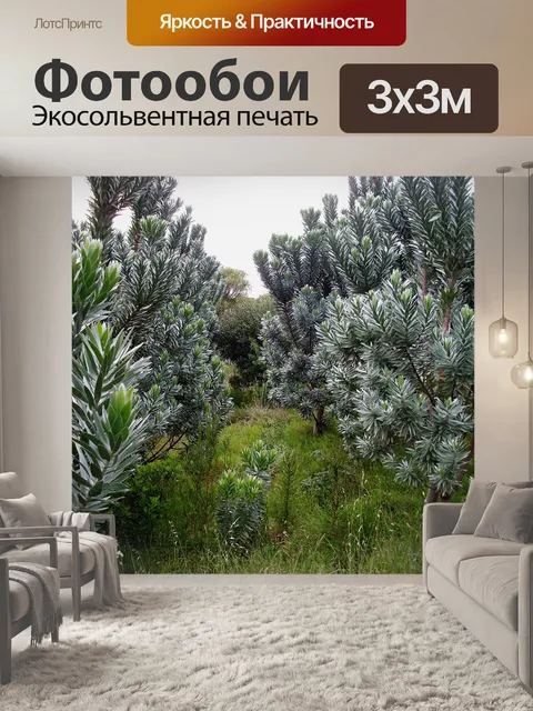 Фотообои Серебряный деревья