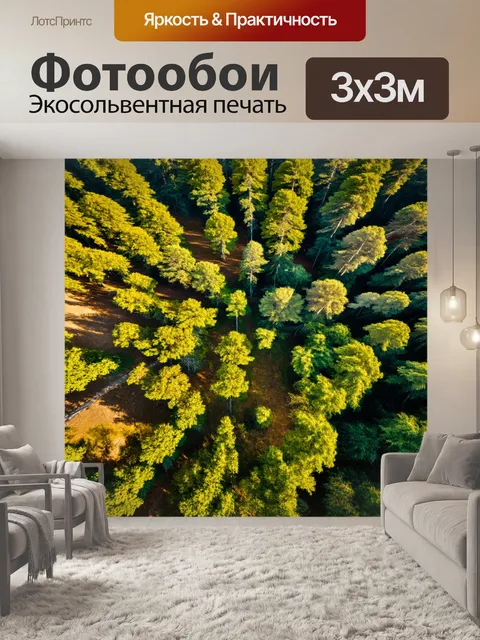 Фотообои вид с высоты, лесной пейзаж, солнечные лужайки, гармония света и темноты