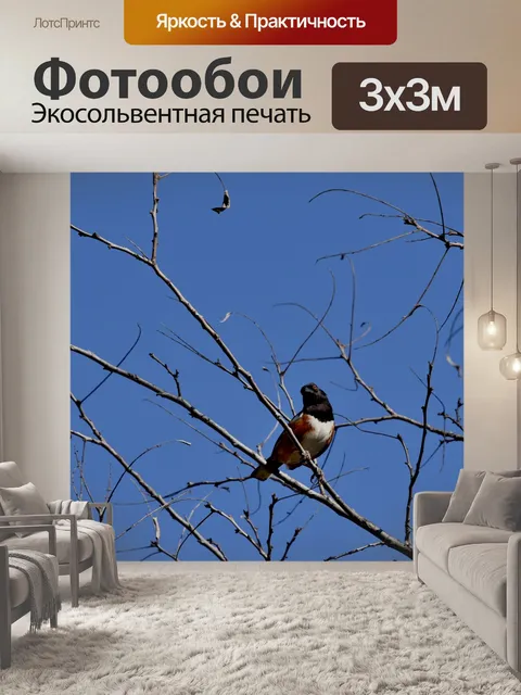 Фотообои Пятнистый Тауи