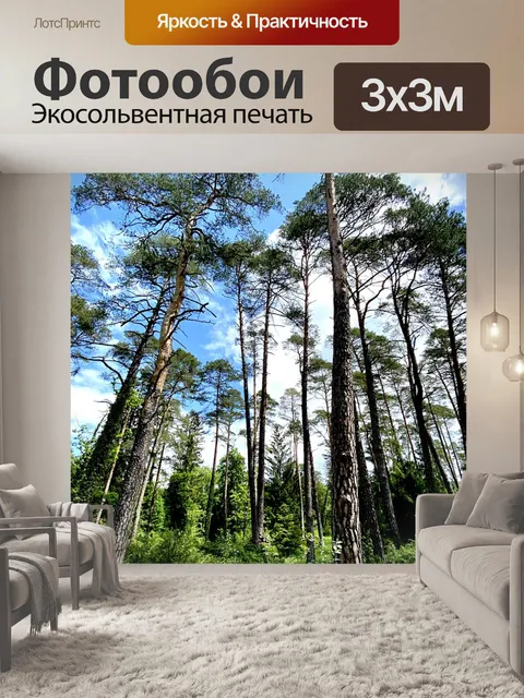 Фотообои Лес