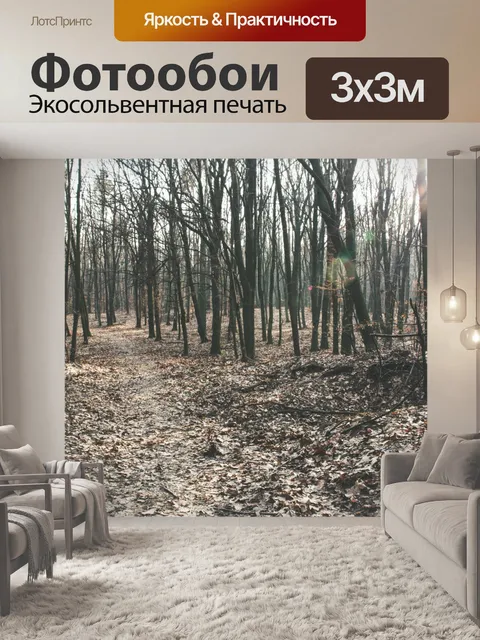 Фотообои Дорога в лесу