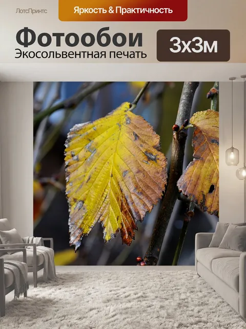 Фотообои Вяз