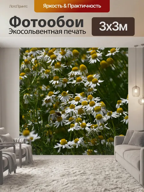 Фотообои Цветы