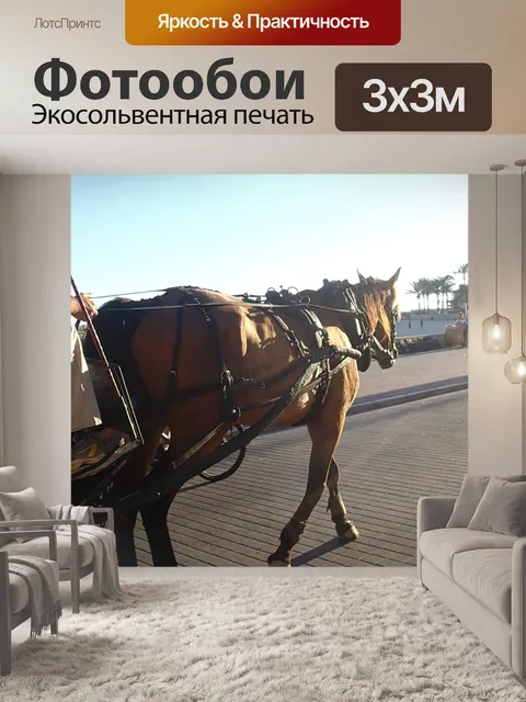 Фотообои Перевозка