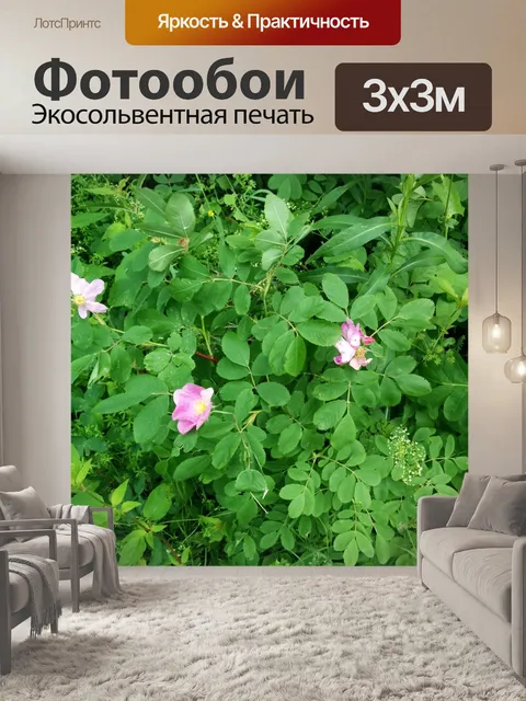 Фотообои дикие розы