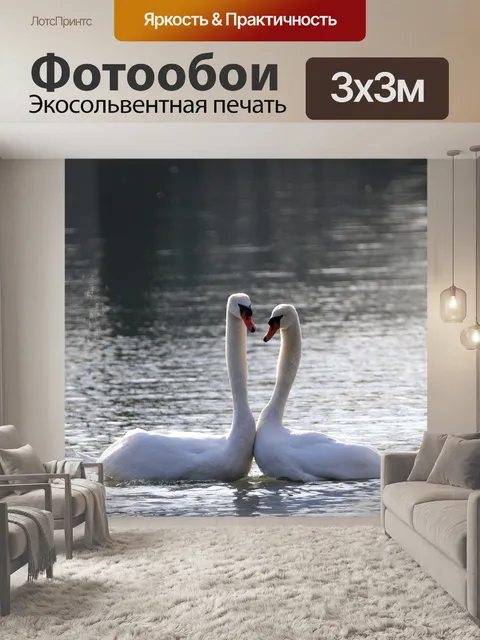 Фотообои Лебеди