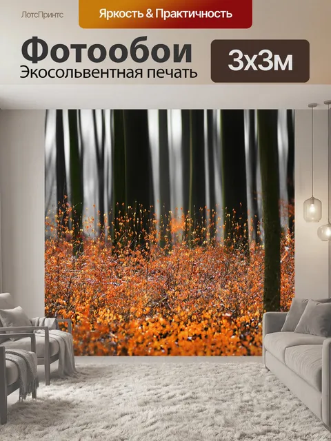 Фотообои Тяжесть