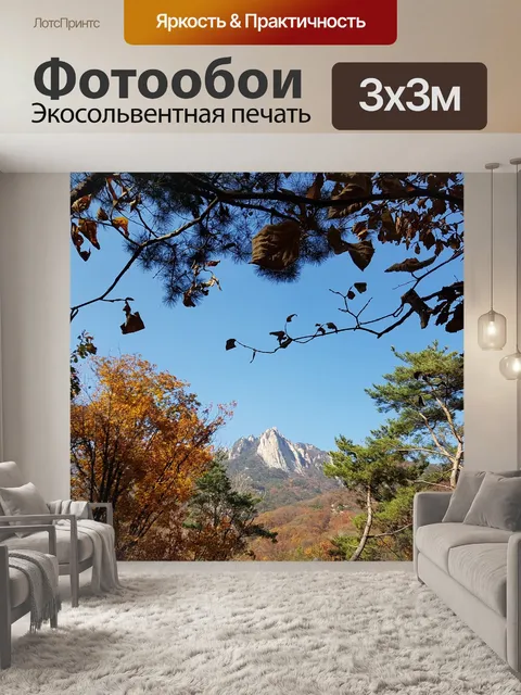 Фотообои Добонгсан