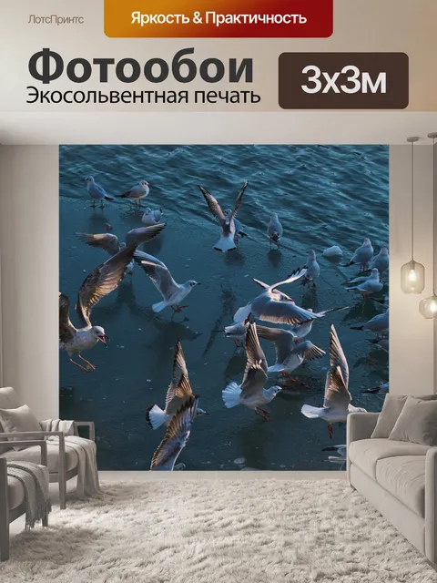 Фотообои Чайки
