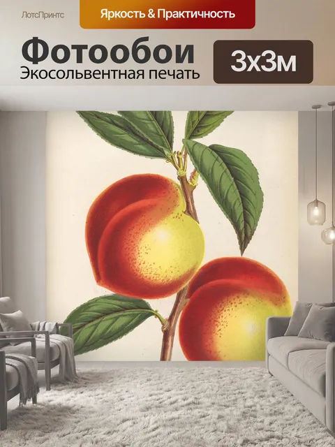 Фотообои Винтажные фрукты персики