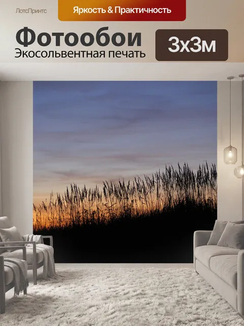 Фотообои Закат
