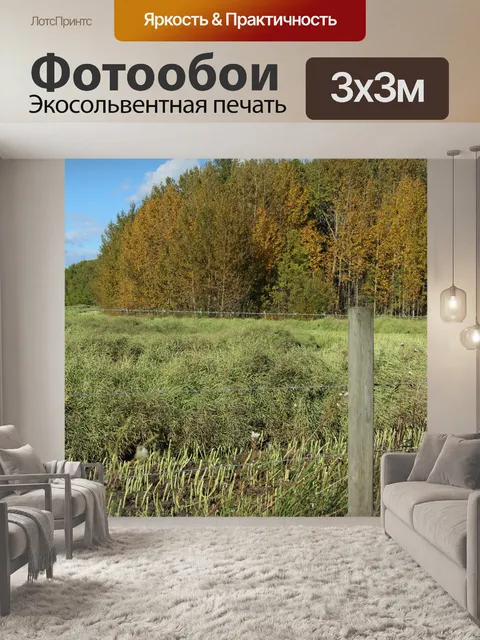 Фотообои Осенние цвета на ферме