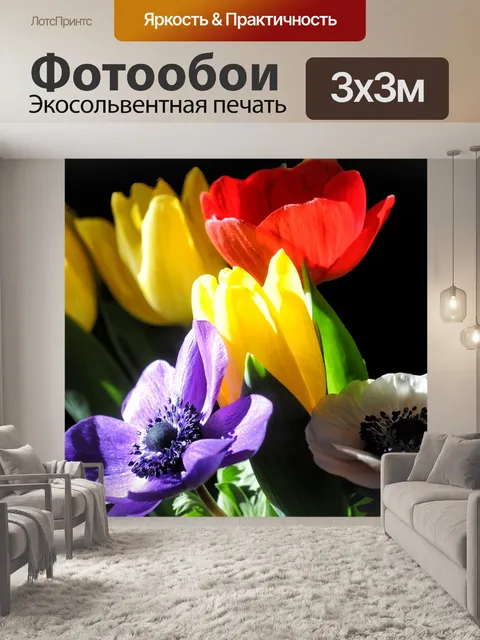 Фотообои Тюльпаны
