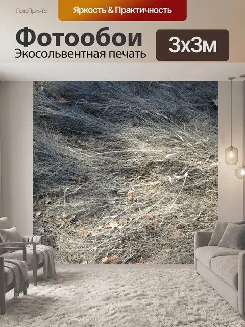 Фотообои Трава текстуры