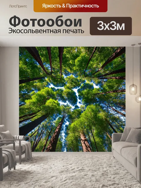 Фотообои лес с переплетением ветвей, которые создают навес