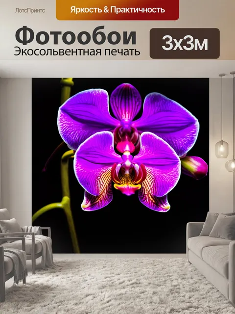 Фотообои орхидея, освещенная яркими неоновыми огнями, создающими вечернюю атмосферу