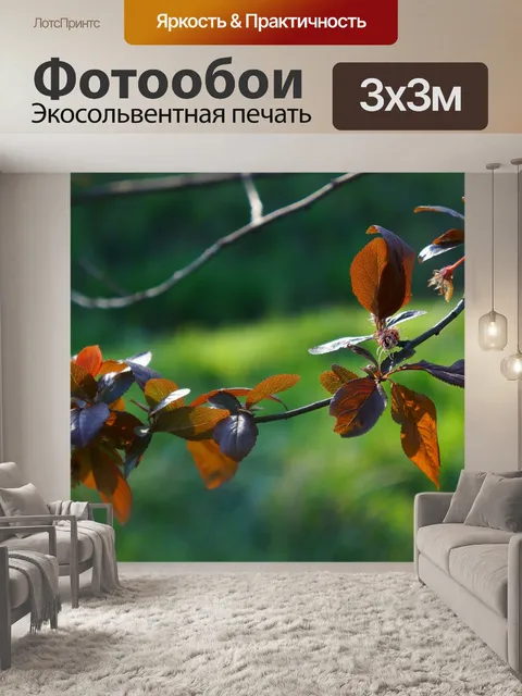Фотообои Природа