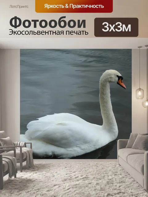 Фотообои Птица