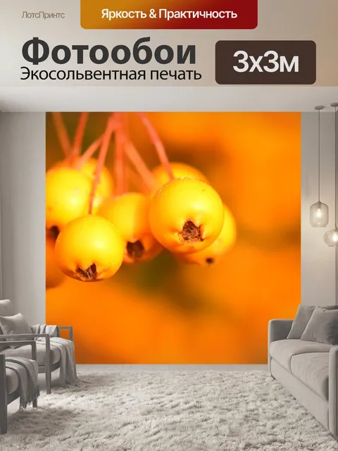 Фотообои Рябина