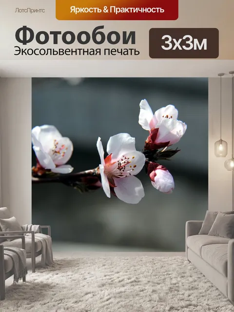 Фотообои Цветение персика