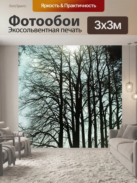 Фотообои Вс