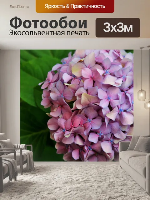 Фотообои розовый цветок глава гортензии