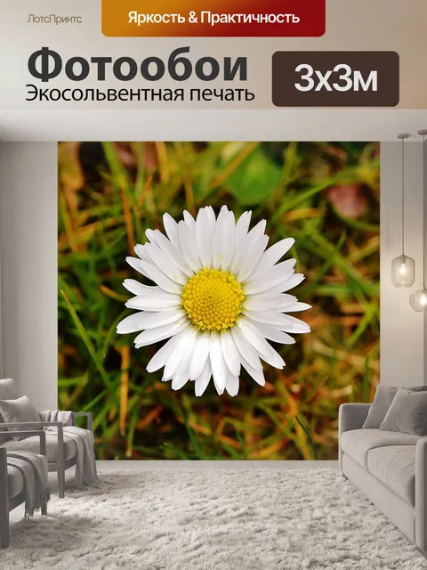 Фотообои Весенний луг