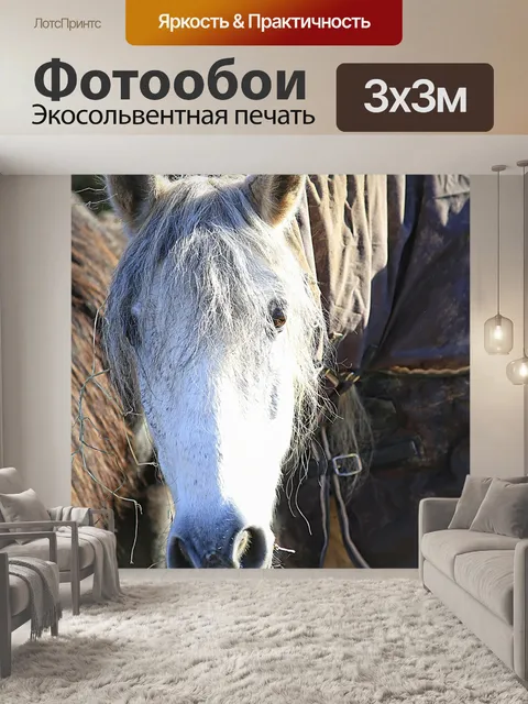 Фотообои Лошадь