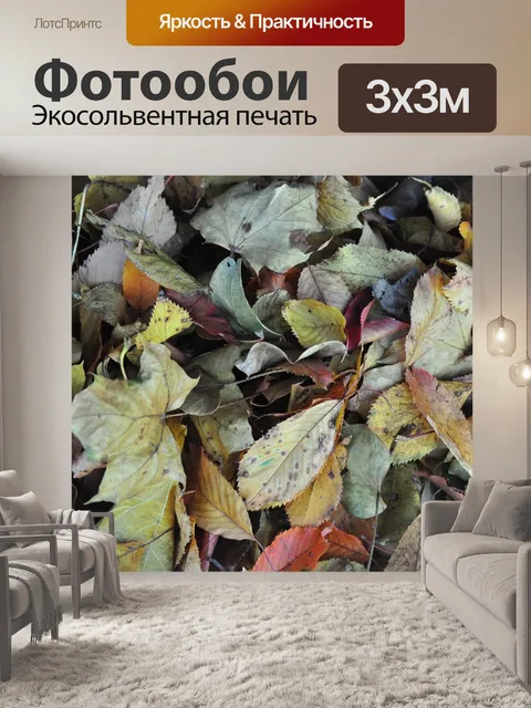 Фотообои Листья